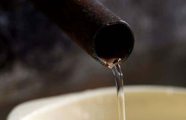 Garopaba Cachaça Tour - Photo 4