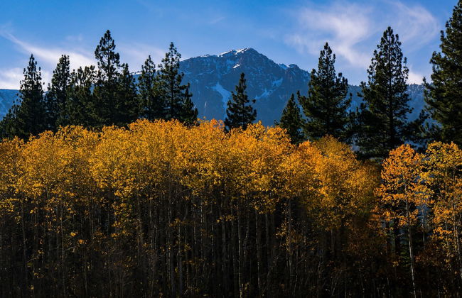 Prima Del Norte - Hot Tub, Pool Table, Arcade Game! - Foto 22