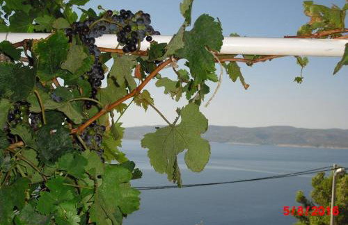 Apartments More Marušići - Foto 5