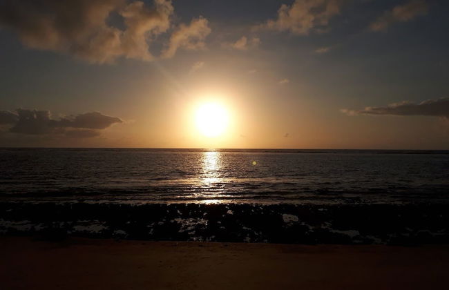 Casa do leo - Foto 45