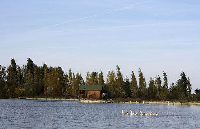 Lama di Valle Rosa - Foto 76