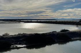 Duplex proche mer, avec swimspa terrasse, jardin et barbecue - Foto 32