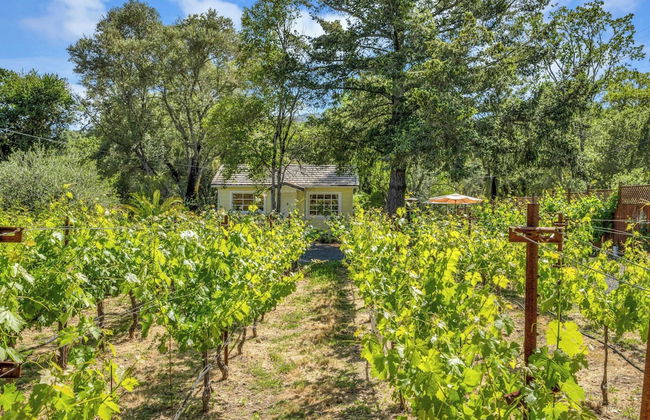 Grapevine Cottage by Avantstay Hobby Vineyard + Firepit - Foto 45