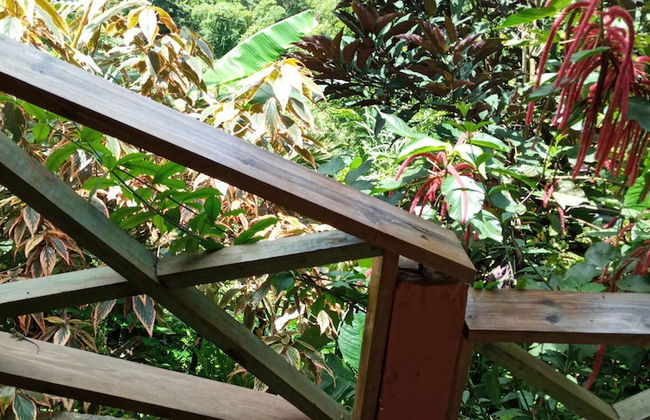 Berkey's Jungle Paradise - Photo 22