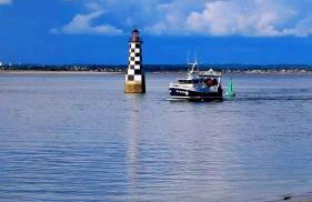 Les hortensias de papy - Foto 32