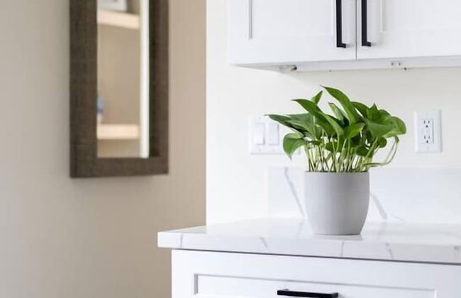 The Rosemont III - Steps From Windansea Beach - Foto 27