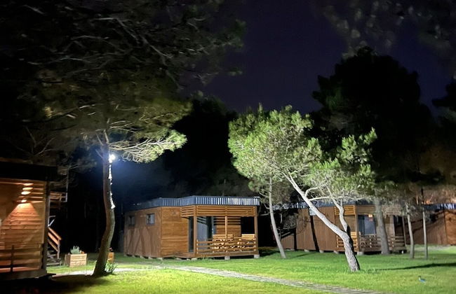 Imperial Bungalows - Foto 24