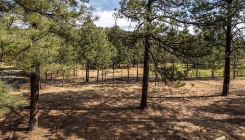 Mountain Soiree - Foto 5