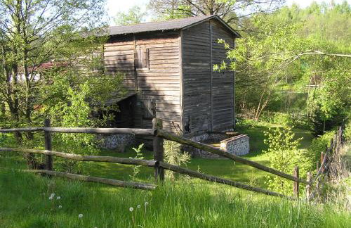 Agroturystyka Lisa Młyn - Foto 10