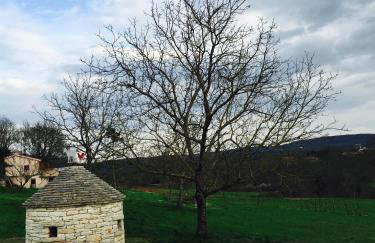 Apartments with a parking space Zajci, Central Istria - Sredisnja Istra - 14303 - Foto 19