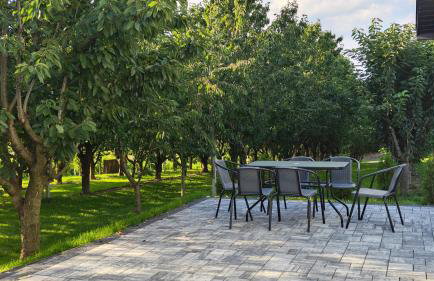 Domki w Winnicy - Świętokrzyska Winnica Knapów - Foto 48