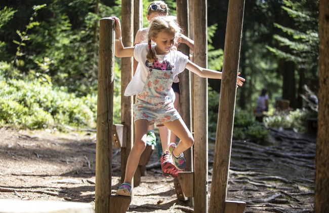 Historic Farmhouse: 200 Years old Meets new - Foto 40