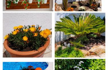 villa aranda - Photo 40