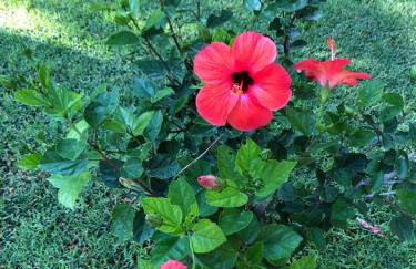 Ανεμπόδιστη Θέα με Κήπο και Πισίνα - Foto 29