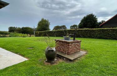 La Nora Jolie - Foto 22