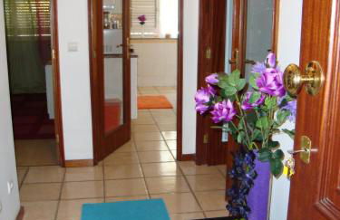 Apartamento Aracelli - Foto 7