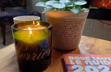 T2 bis atypique Bordeaux-centre - Classement 3 étoiles - Foto 6