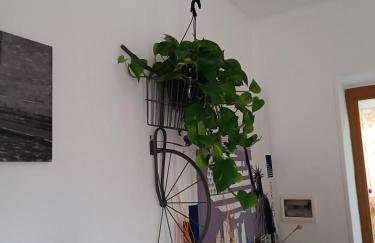 Casa da Lucy-Monsummano Terme - Foto 11