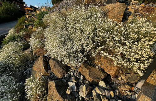 Chalet Deluxe - Foto 30