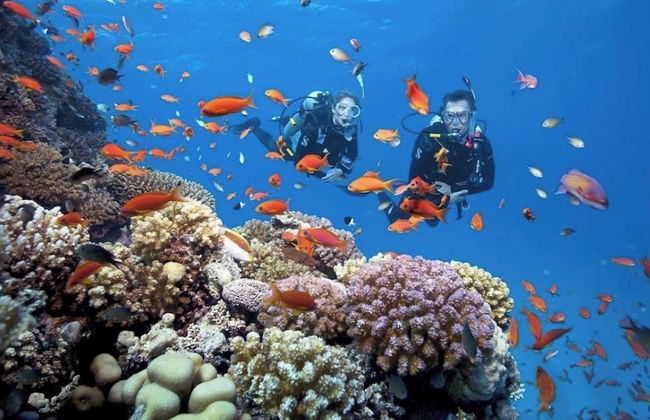 Hoi An Tháng 1 Villa - Foto 29