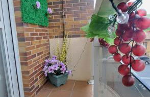 Garnacha Tinta VT-LR-2179 - Photo 11