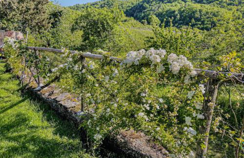 Romantic Tuscan Barn with Pool Views Private Terrace Sleeps 2 to 6, Lamole Greve in Chianti - Foto 22