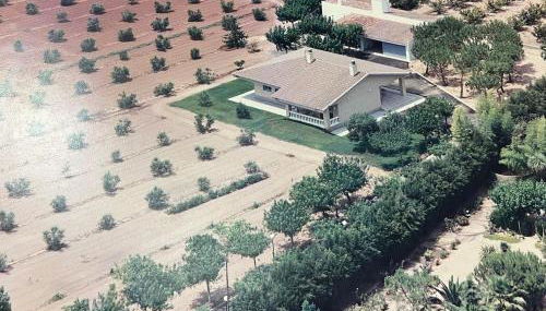 Casa olivar de Riudoms - Foto 3