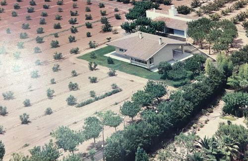 Casa olivar de Riudoms - Foto 3