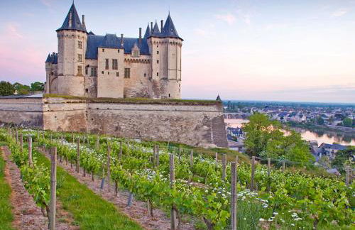 Holiday Home Les Landes du Chinonais by Interhome - Foto 42