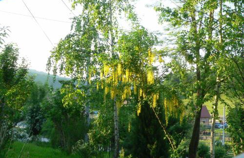 STARA PLEBANIA - Foto 31