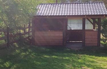 Domek Rokitki - Foto 10