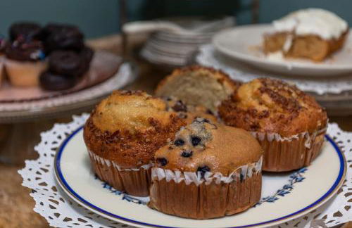 South Broadway Manor B&B - Near Fallingwater, Ohiopyle State Park, Hiking & Biking trails GAP - Foto 60