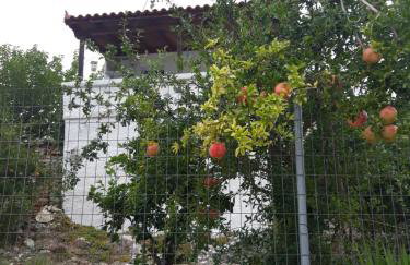 Kerry's Evia Island House - Foto 15