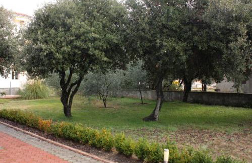 Apartments by the sea Vrsi - Mulo, Zadar - 5951 - Foto 8