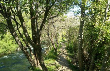 Apartments Babic - Photo 26