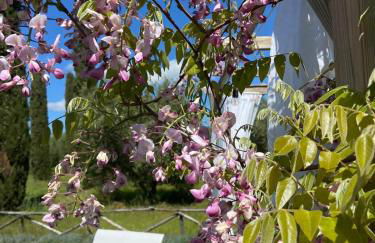 Tenuta Le Mandorlaie, Agriturismo in Scansano - Foto 26