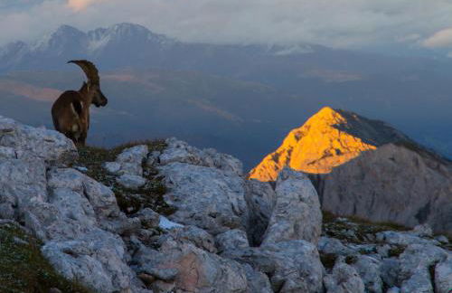 Apartment Ciasa Laoi - Foto 73