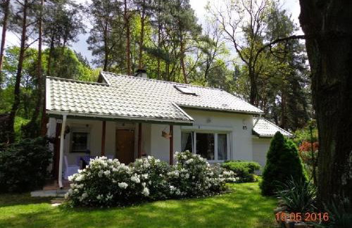 Fort Janowek - Foto 24