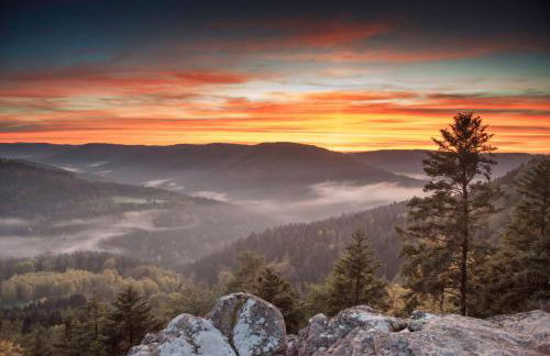 La Loge du Pic Noir - Photo 12