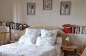 Casa de Amigos - Photo 3