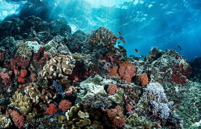 Spacious Apartment With Terrace and Rooftop Pool - Photo 67