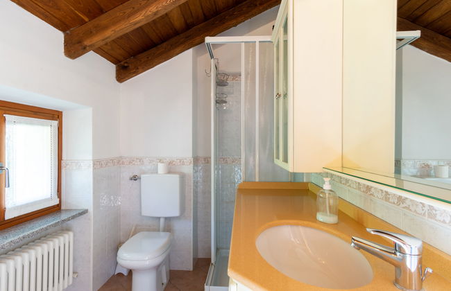 Rosa (VNA205) - Foto 10