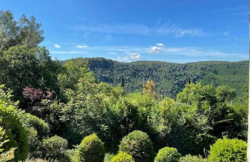 Villa Jean-Pierre. Infinity pool and view in Tourrettes-sur-Loup - Foto 58