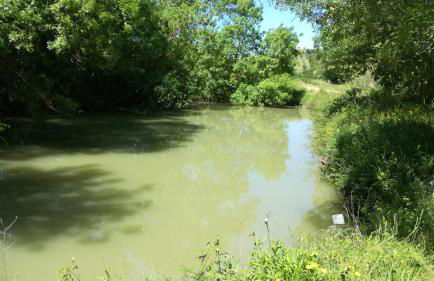 Agriturismo cavallin del papa - Foto 6