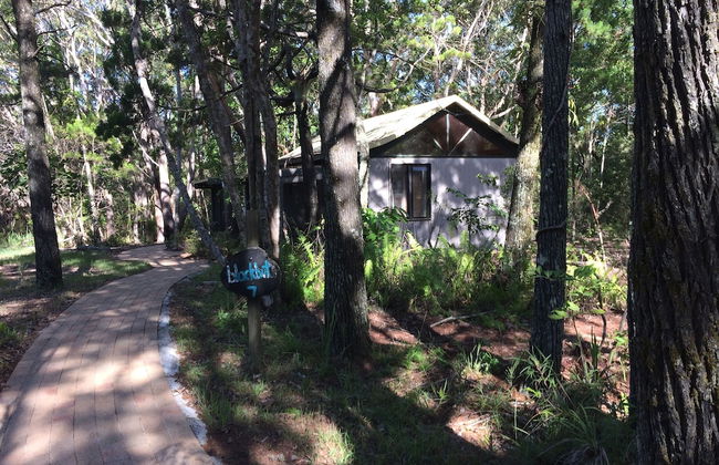 Byron Bay Rainforest Resort - Photo 6