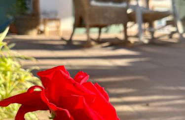 La Cuadra de Finca Don Carmelo - Foto 47