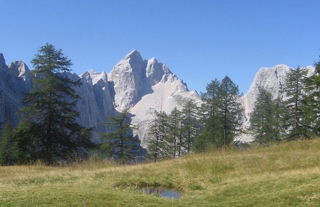 Apartments Jakelj - Foto 25