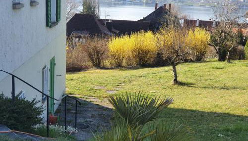 Ferienwohnung Seegarten - Foto 4, Garden, Garden view