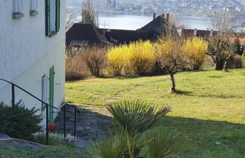 Ferienwohnung Seegarten - Foto 4