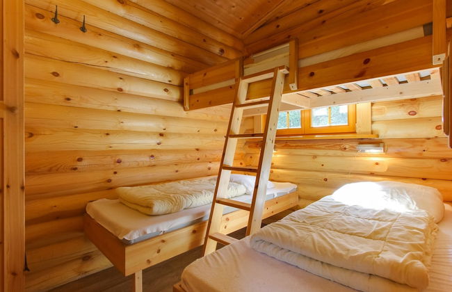 Europarcs De Wije Werelt - Foto 3